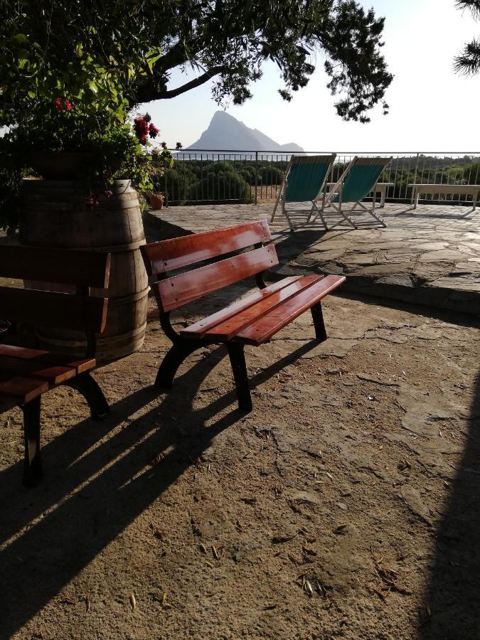 B&B La Taerra Porto San Paolo  Εξωτερικό φωτογραφία